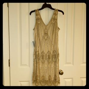 1920's Gatsby Flapper Dress
